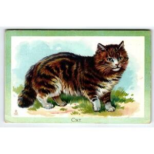 Fantastic Embossed Brown Mix Kitten Postcard Fluffy Domestic Cat Series Tuck No4